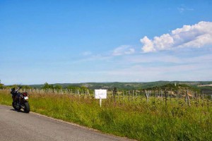 view of the french vineyard from the road, with a really blue, sunny sky, with the KTM in the distance.