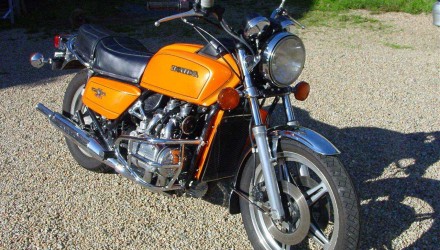orange wing 2